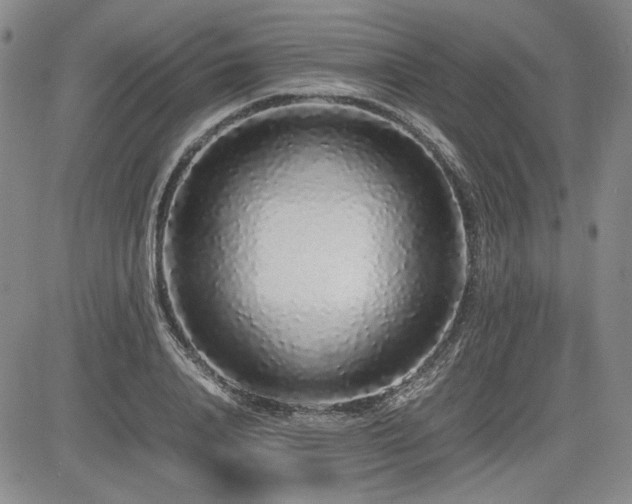X0000085070840200703051405