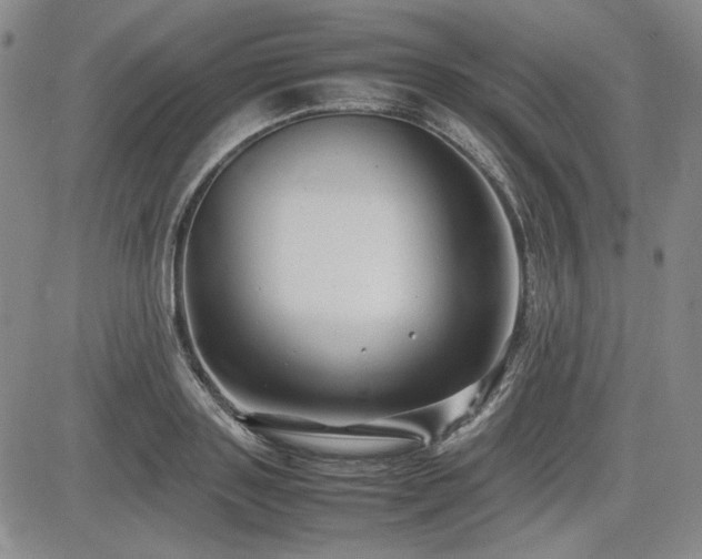 X0000085070843200703051405