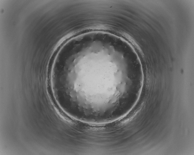 X0000085070845200703051405