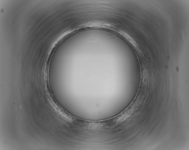 X0000085070848200703051405