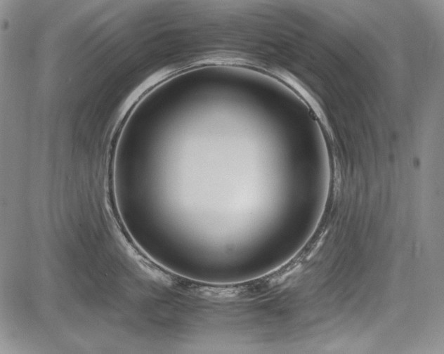 X0000085070861200703051405