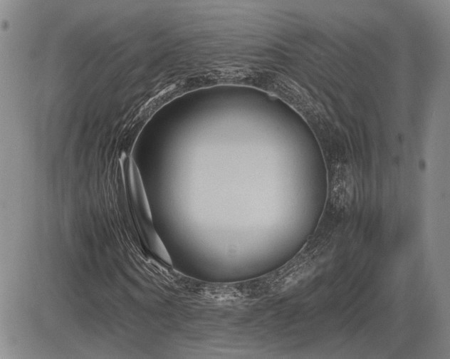 X0000085070866200703051404