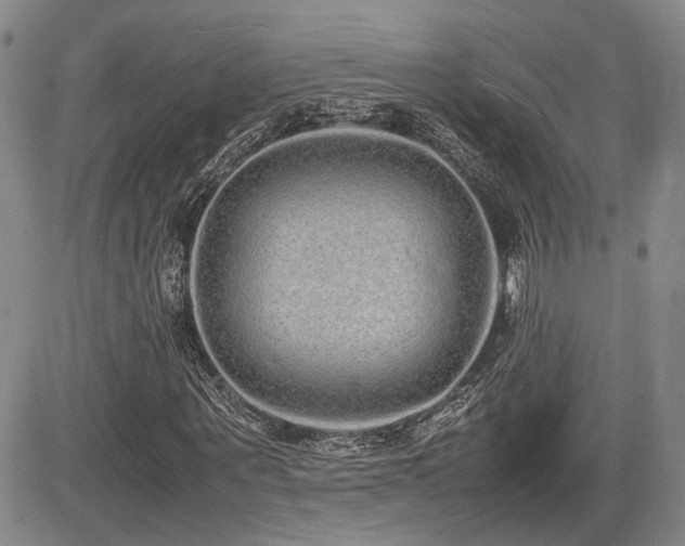 X0000085070867200703051404
