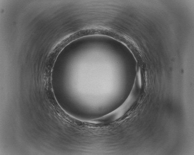 X0000085070872200703051404