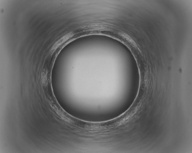 X0000085070873200703051404