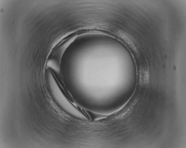X0000085070876200703051404