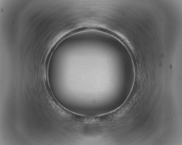 X0000085070887200703051404