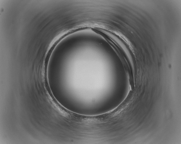 X0000085070894200703051404