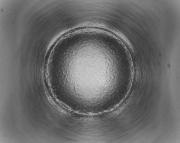 X0000085070896200703051404