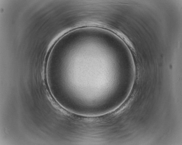 X0000085070904200703051404