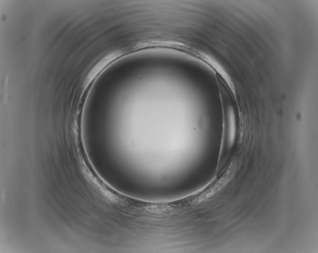 X0000085070906200703051404