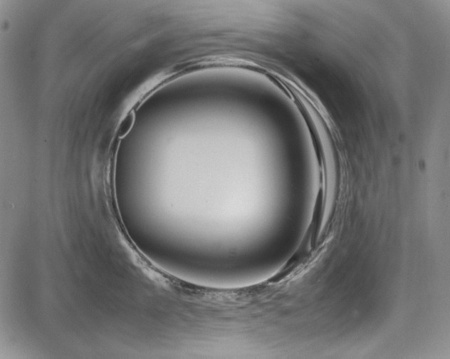 X0000085070909200703051404