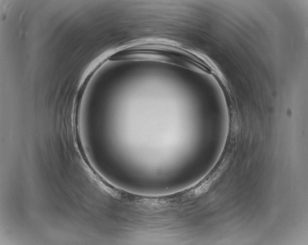 X0000085070910200703051404