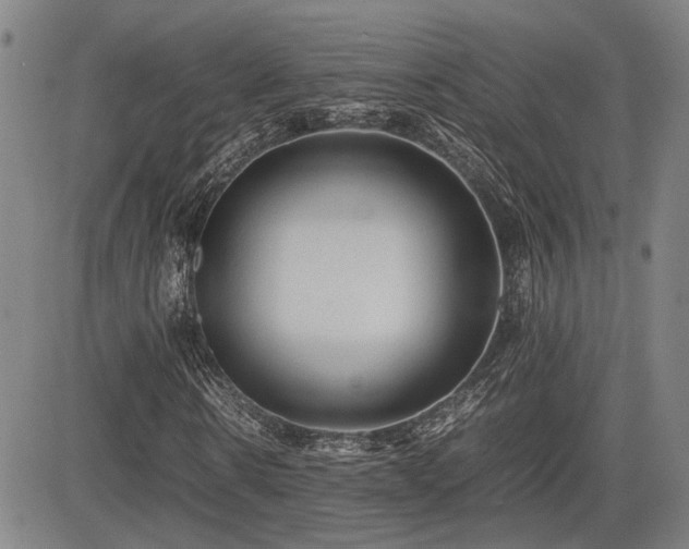 X0000085070914200703051403