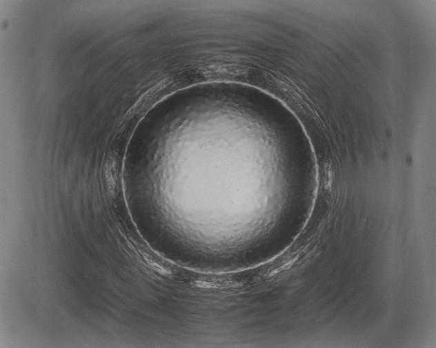 X0000085070915200703051403