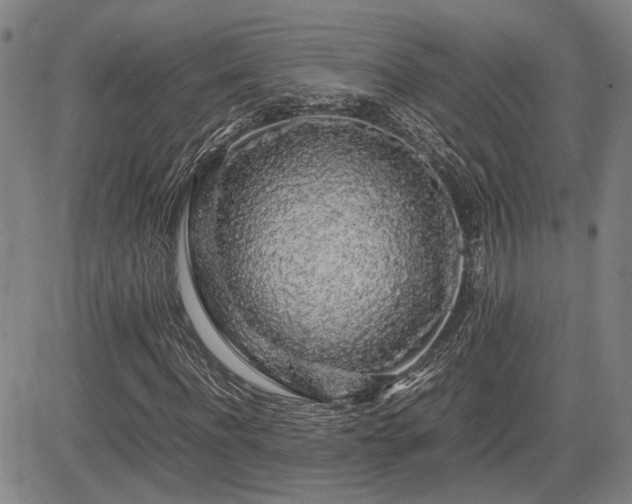 X0000085070916200703051403