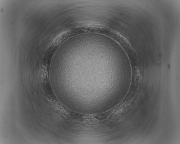 X0000085070918200703051403
