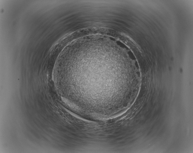 X0000085070919200703051403