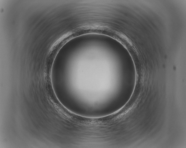 X0000085070922200703051403
