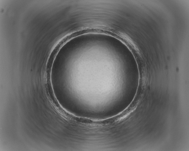 X0000085070924200703051403