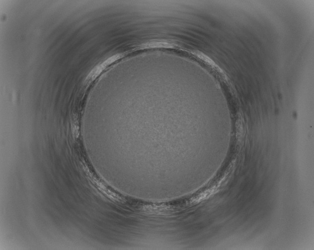 X0000085070929200703051403