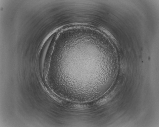 X0000085070933200703051403