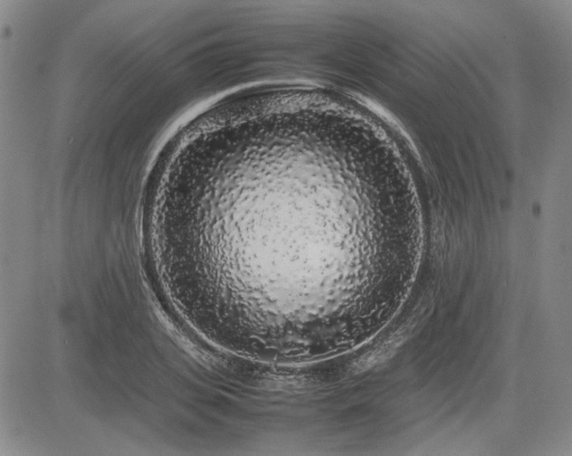 X0000085070935200703051403