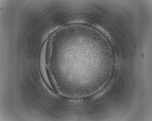 X0000085070937200703051403