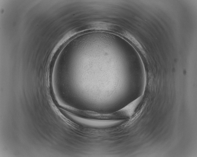 X0000085070939200703051403