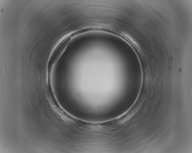 X0000085070940200703051403