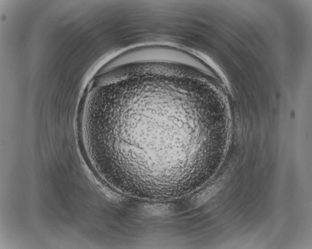 X0000085070943200703051403