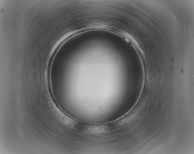 X0000085070947200703051403