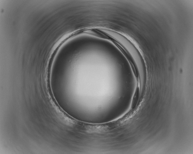 X0000085070949200703051403