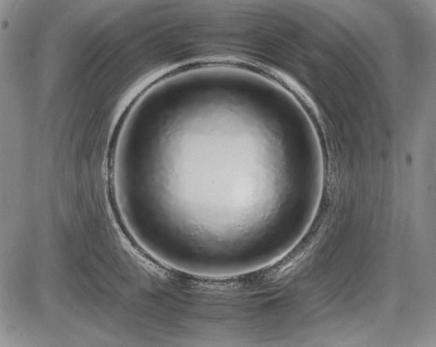 X0000085070951200703051403