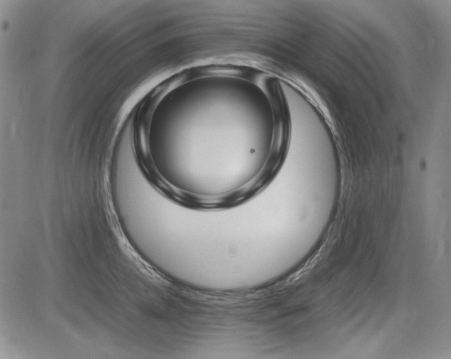 X0000085070952200703051403