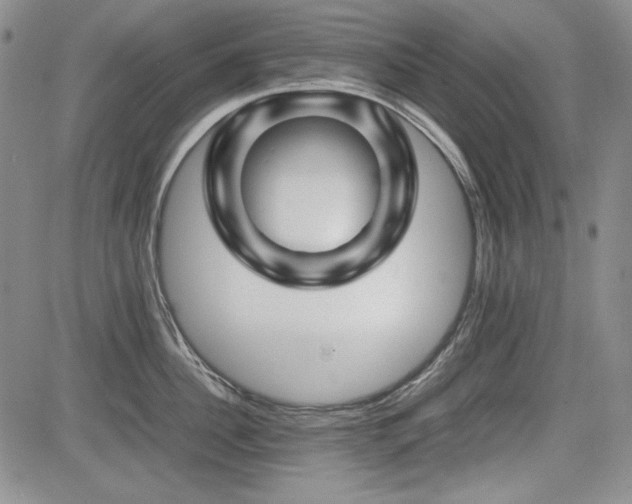 X0000085070956200703051403