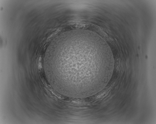 X0000085070962200703051403