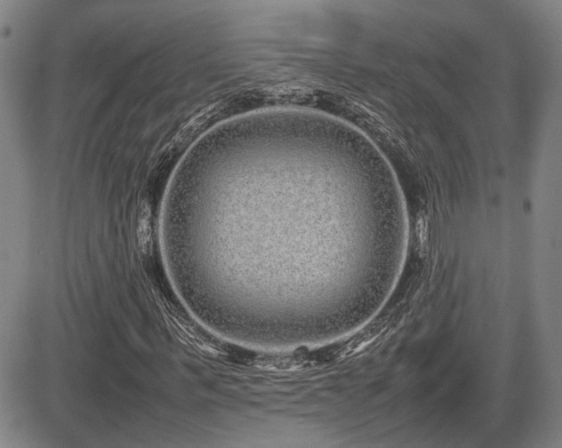 X0000085070963200703051403
