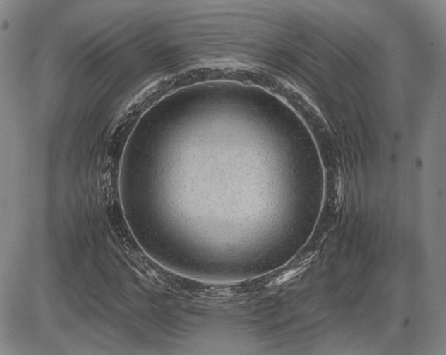 X0000085070968200703051402