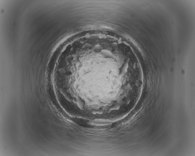 X0000085070975200703051402