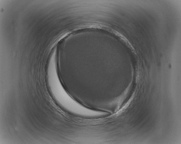 X0000085070977200703051402