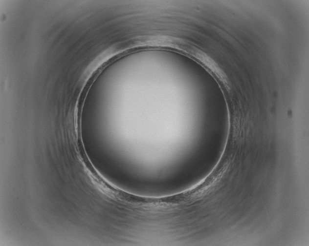 X0000085070988200703051402