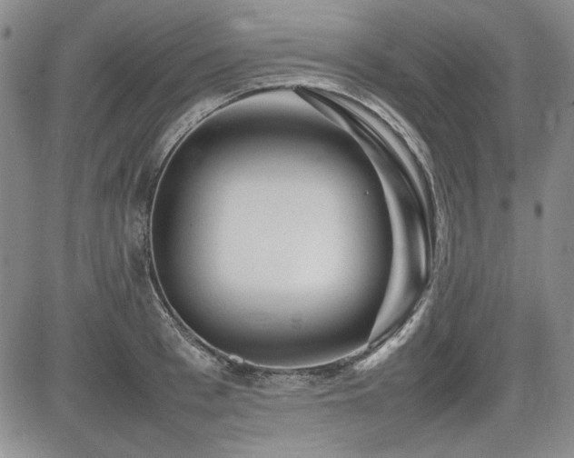 X0000085070993200703051402