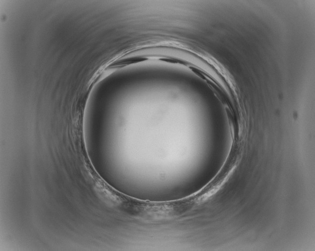X0000085071001200703051402
