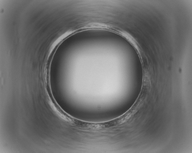 X0000085071003200703051402