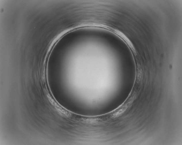 X0000085071004200703051402