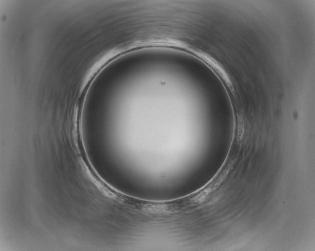 X0000085071006200703051402