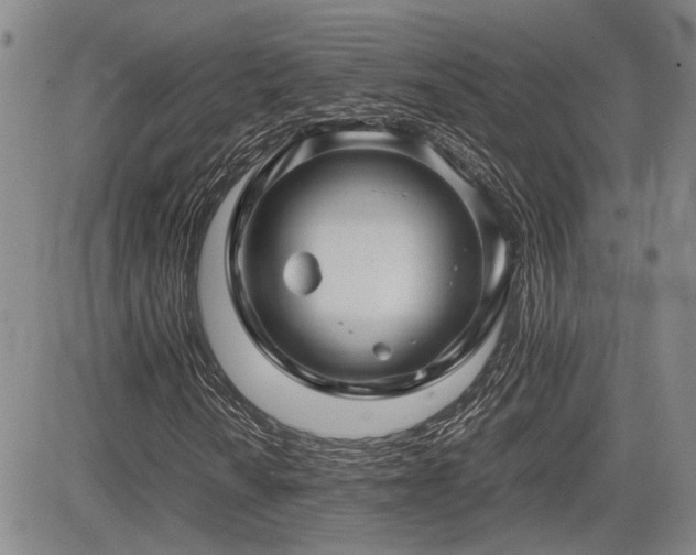 X0000085071010200703051401