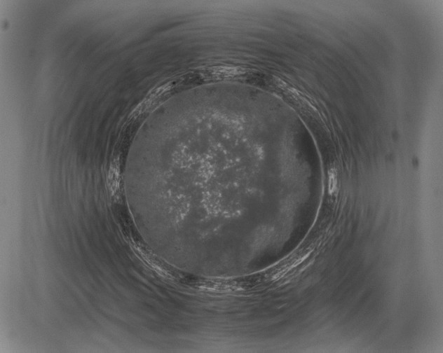 X0000085071011200703051401
