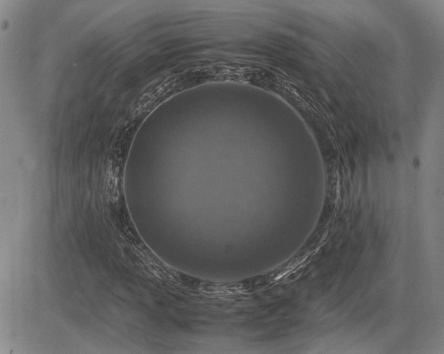 X0000085071013200703051401
